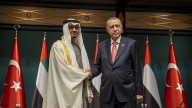 الرئيسان التركي والإماراتي يبحثان العلاقات وقضايا إقليمية