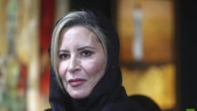 صورة توضيحية - وكالة سلامة الطيران الأوروبية توصي بتجنب المجال الجوي الإيراني