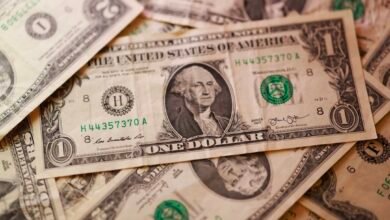 صفقة بـ5.5 مليار دولار.. تحالف مدعوم من KKR يستحوذ على «Steadfast» الأسترالية