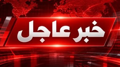 عاجل تطورات حادث فلاي دبي.. إسرائيل: محاولة لتدمير الطائرة والركاب اقتحموا قمرة القيادة